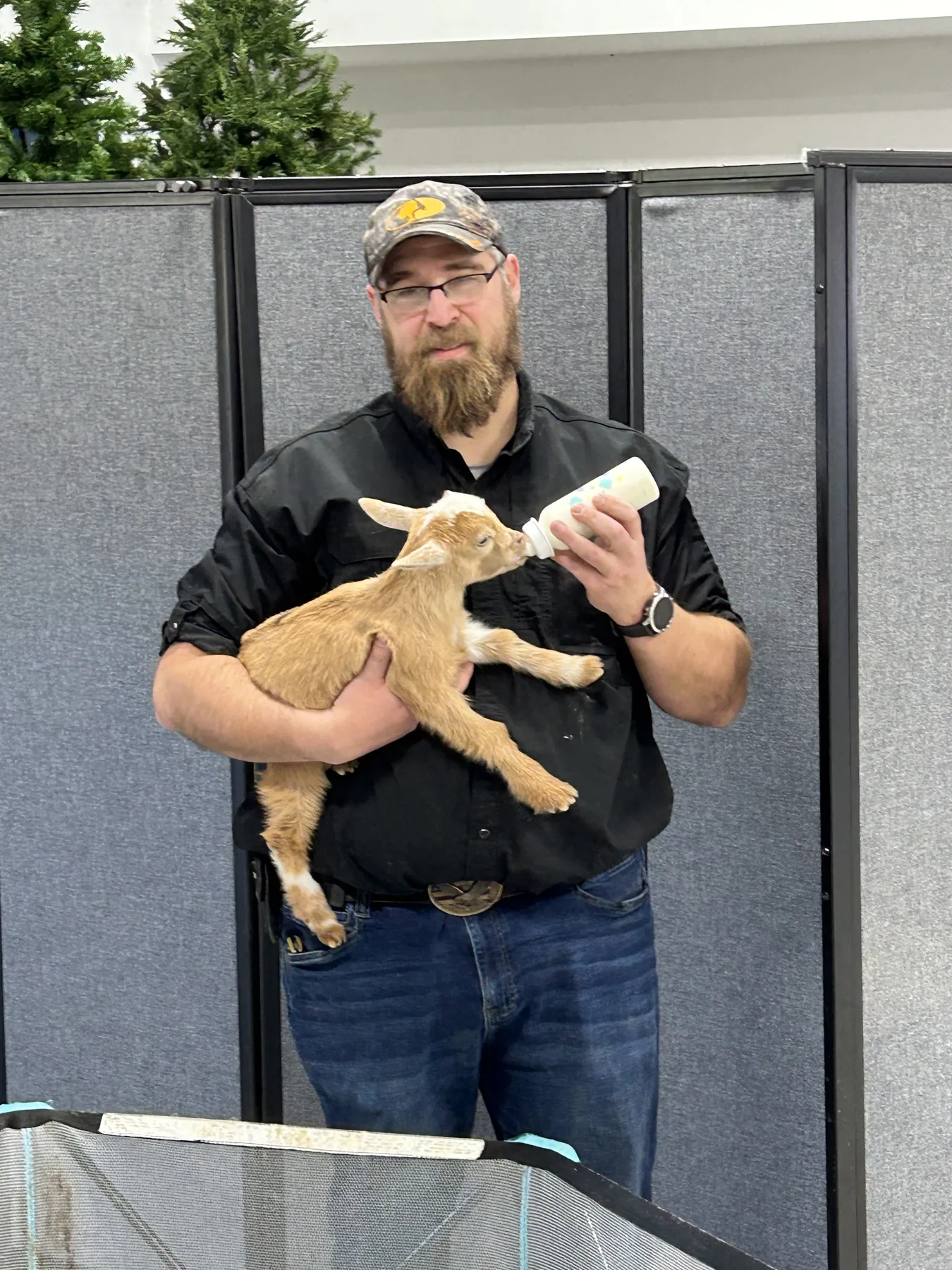 Volunteer bottle-feeding a baby goat at the Easter event